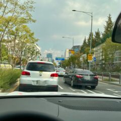 아이들 학교까지 운전 연습