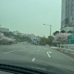 강의 시간이 너무 짧았어요