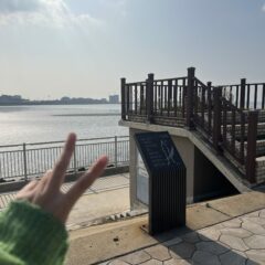 방학 운전은 재미있어요