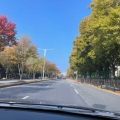 효율적인 일정 관리